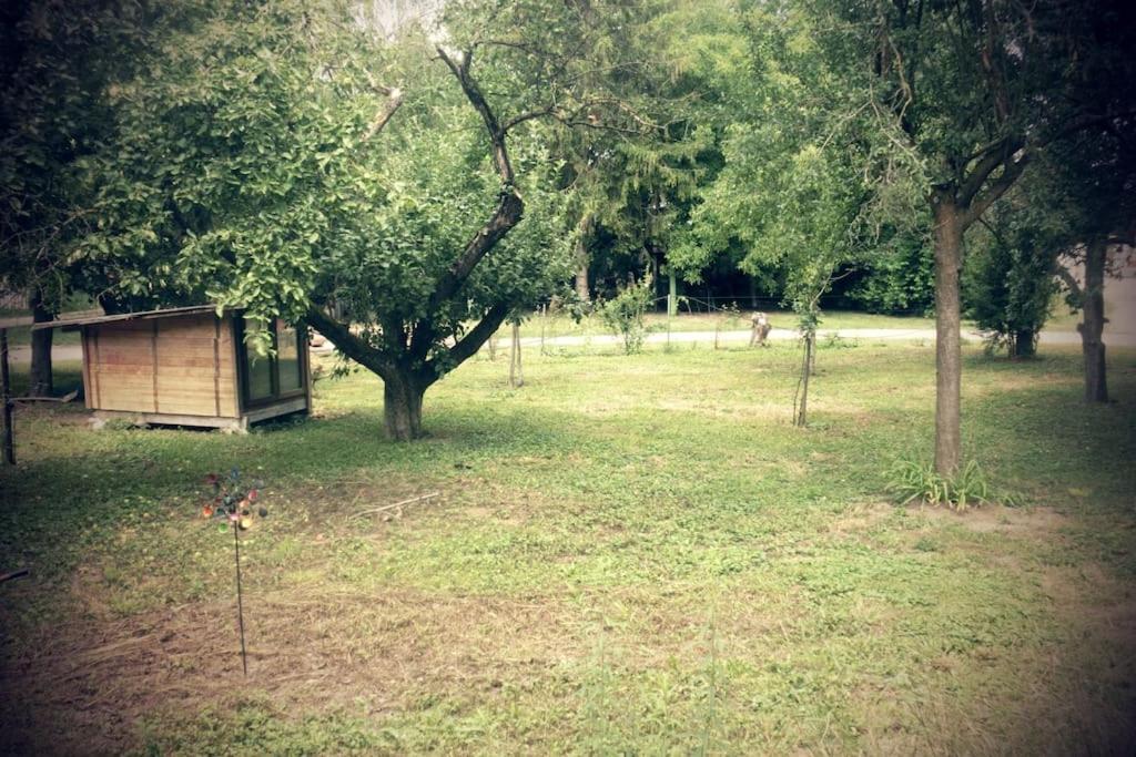 Ferienwohnung Im Gruenen Gottenheim Esterno foto