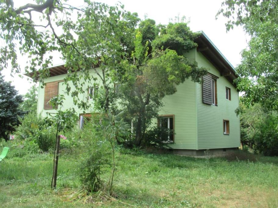 Ferienwohnung Im Gruenen Gottenheim Esterno foto