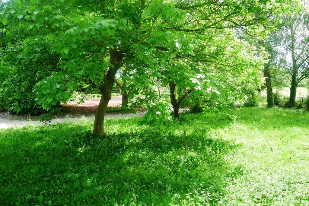 Ferienwohnung Im Gruenen Gottenheim Esterno foto