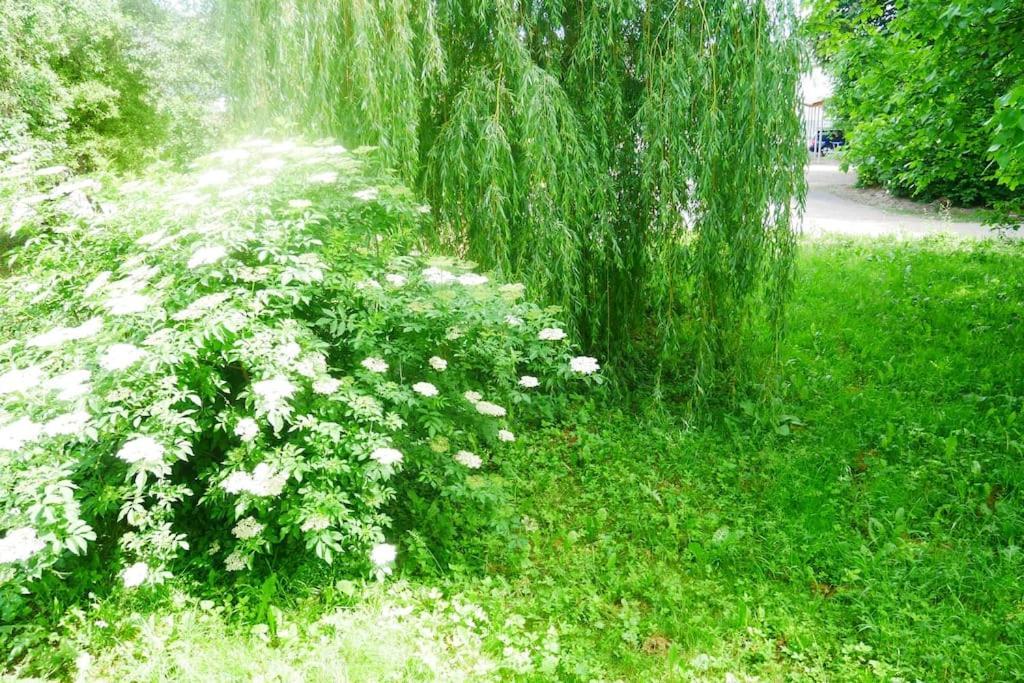 Ferienwohnung Im Gruenen Gottenheim Esterno foto