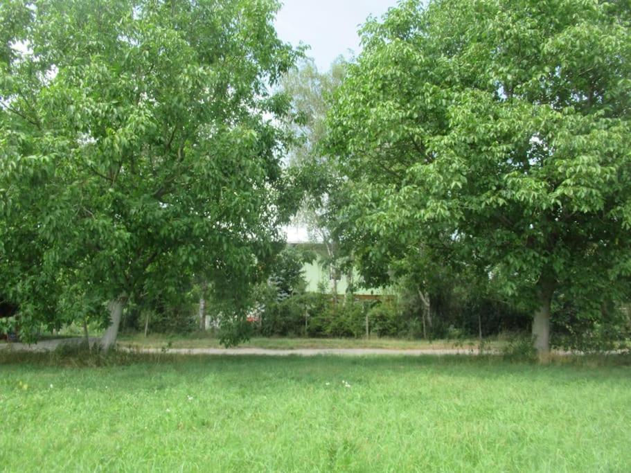Ferienwohnung Im Gruenen Gottenheim Esterno foto